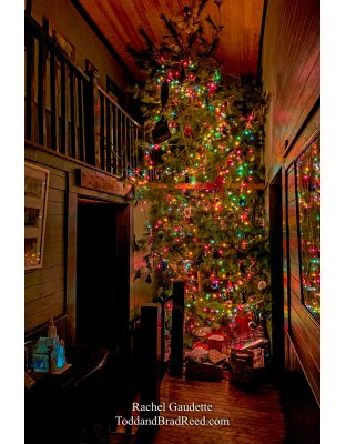 Rachel’s Day 360 of 366 -  December 25, 2020