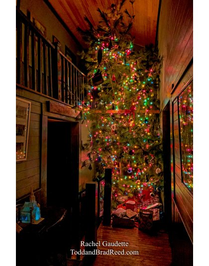 Rachel’s Day 360 of 366 -  December 25, 2020