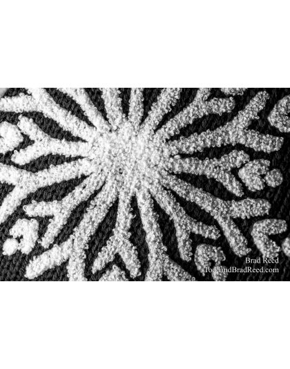 Brad’s Day 330 of 366 - November 25, 2020 