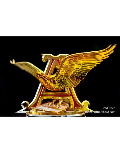 Brad’s Day 331 of 366 - November 26, 2020