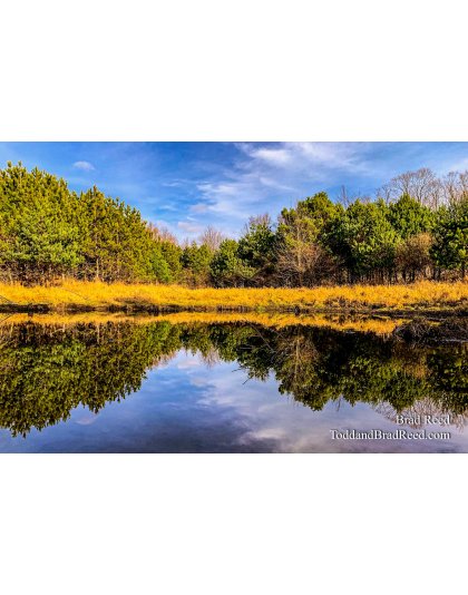 Brad’s Day 334 of 366 - November 29, 2020