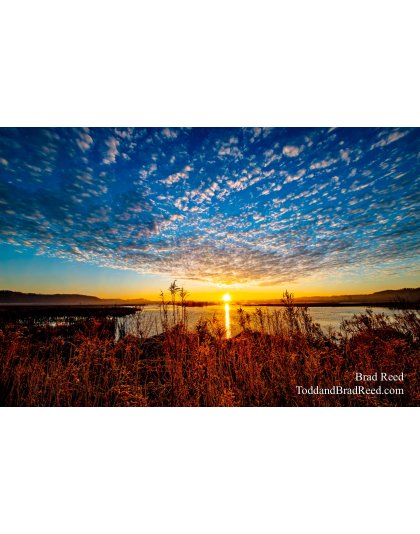 Brad’s Day 345 of 366 - December 10, 2020