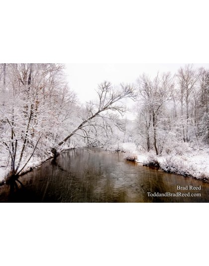 Brad’s Day 347 of 366 - December 12, 2020