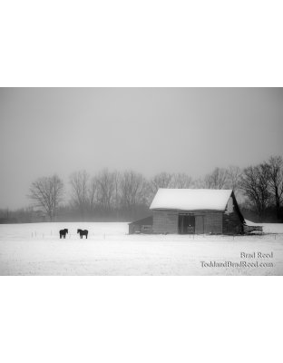 Brad’s Day 354 of 366 - December 19, 2020