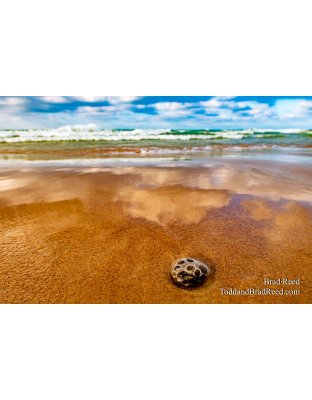 Brad’s Day 355 of 366 - December 20, 2020