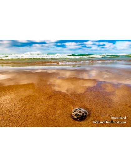 Brad’s Day 355 of 366 - December 20, 2020