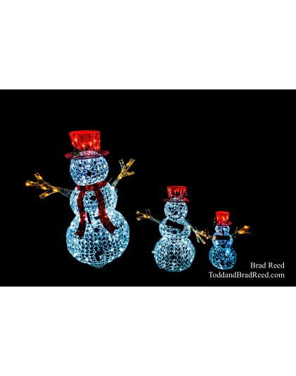 Brad’s Day 356 of 366 - December 21, 2020