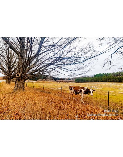 Brad’s Day 357 of 366 - December 22, 2020