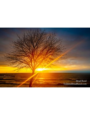 Brad’s Day 358 of 366 - December 23, 2020