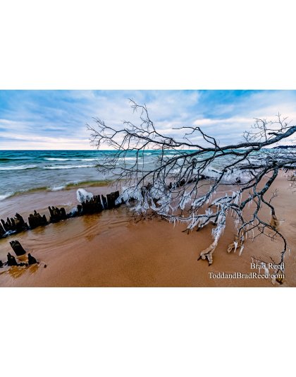 Brad’s Day 361 of 366 - December 26, 2020