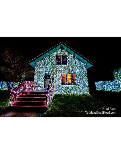 Brad’s Day 340 of 366 - December 5, 2020