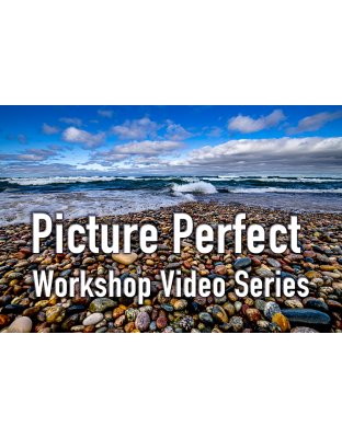 Picture Perfect Workshop Video Series
