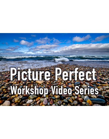 Picture Perfect Workshop Video Series