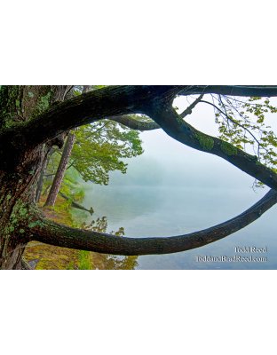 Todd Reed's Day 142 of 365 