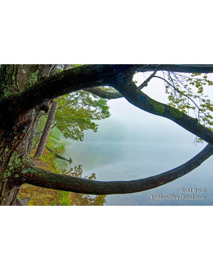 Todd Reed's Day 142 of 365 