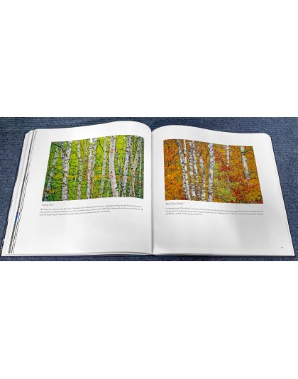 Todd Reed: 50 Years Seeing Michigan Through a Lens 