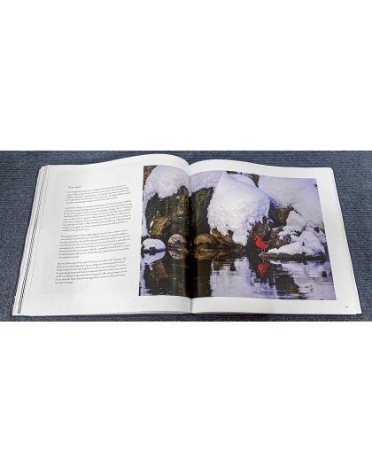 Todd Reed: 50 Years Seeing Michigan Through a Lens 