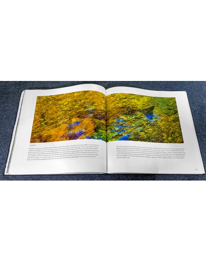 Todd Reed: 50 Years Seeing Michigan Through a Lens 