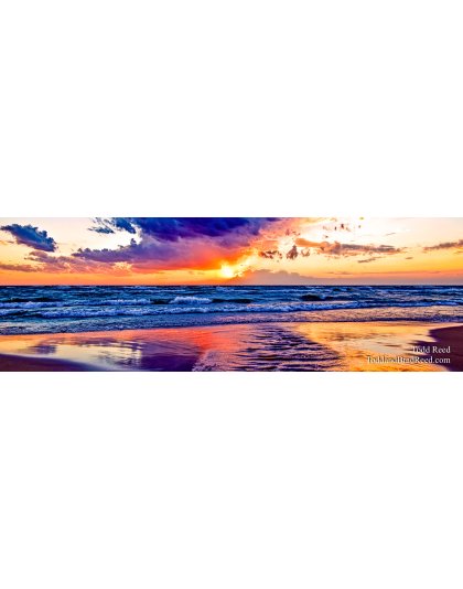 Flood Light - Panoramic