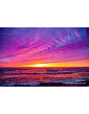 Todd Reed's Day 229 of 365 