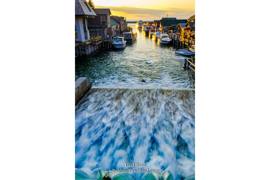 Evening in Fish Town