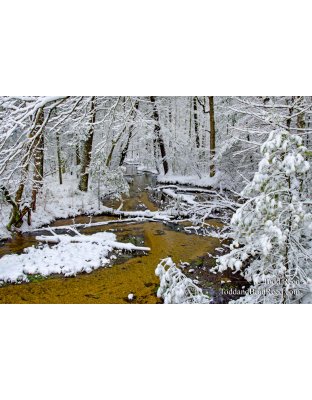 Winter Afternoons Dream