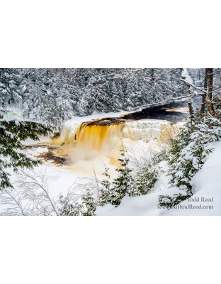 Winter at Tahquamenon