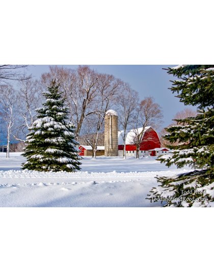 Todd Reed's Day 348 of 365 