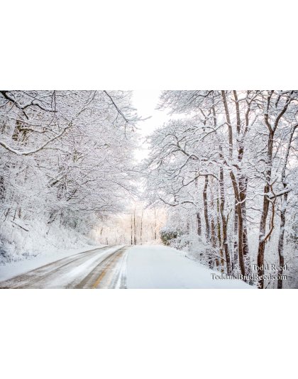 Spring Around the Corner