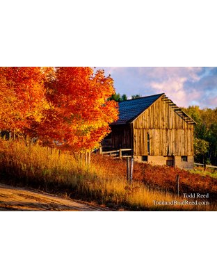 Autumn In the Country