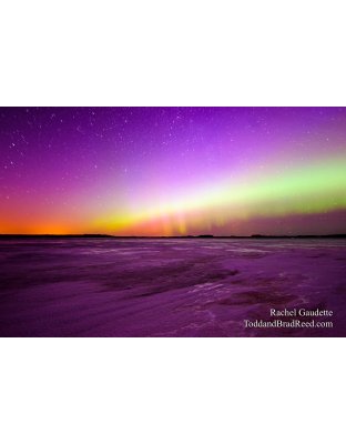 Rachel Gaudette Northern Lights (2758) 