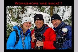Picture Perfect Workshop Video Series