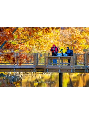 Private Lessons by Todd and Brad Reed Photography