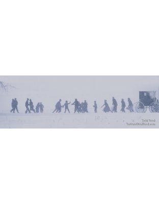 Amish Snowball Fight - Panoramic 