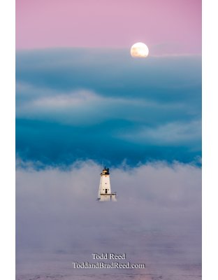 Ludington Luminaries