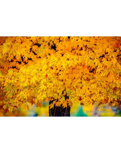 Daring to be different