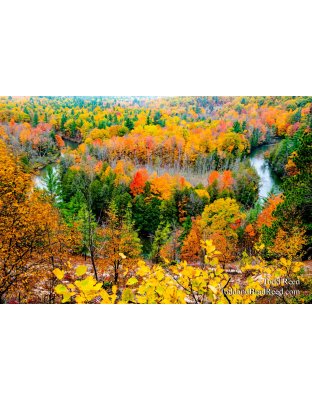Michigan Autumn Vista