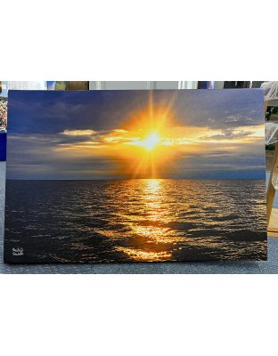 50% off 26.6 x 40" Gallery Wrap Canvas "Rachel Gaudette_Day 203 of 366"