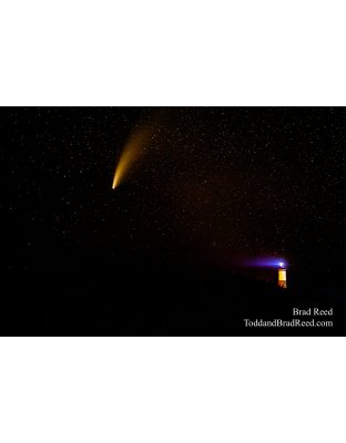 Brad Reed's Day 200 of 366