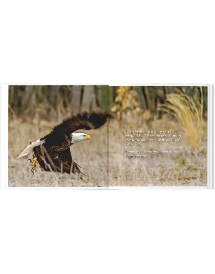 "They Call Me Eagle Eyes", a Picture Book for All Ages
