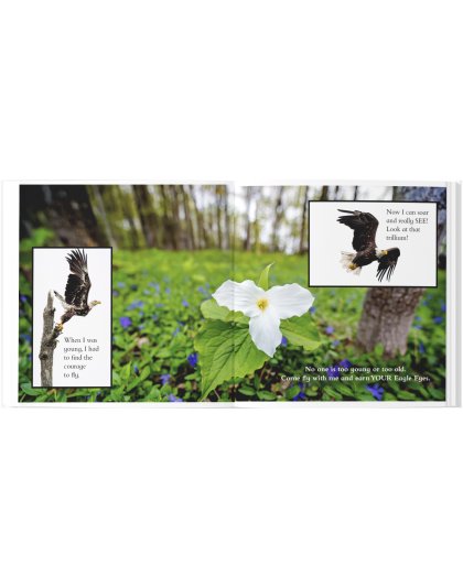 "They Call Me Eagle Eyes", a Picture Book for All Ages