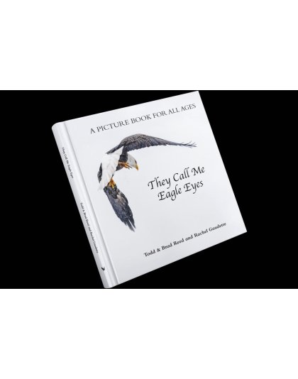 "They Call Me Eagle Eyes", a Picture Book for All Ages