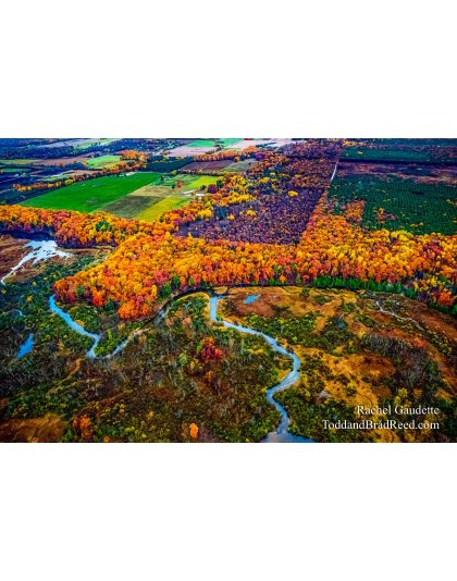 Rachel Gaudette's Day 298 of 366