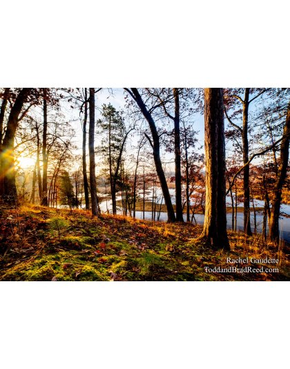 Rachel Gaudette's Day 311 of 366