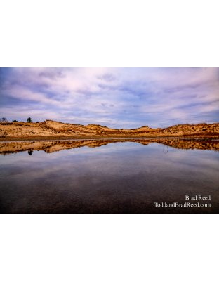 The Queens Reflection