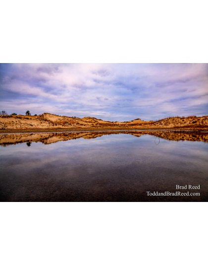 The Queens Reflection