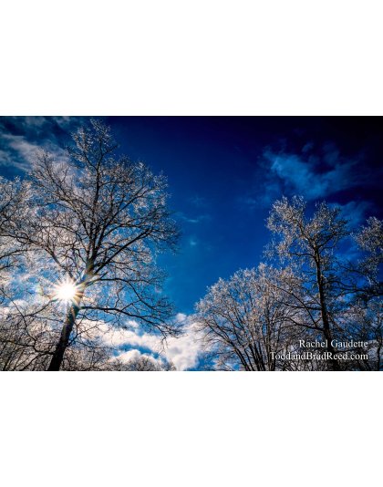 Weldon Creek Wonderland