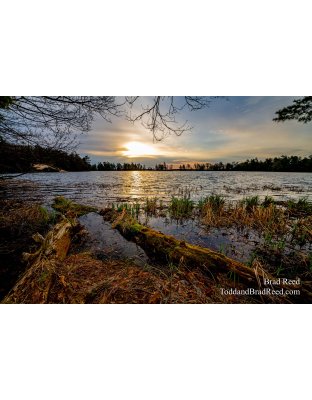 Workshop At Ludington State Park (2220) 
