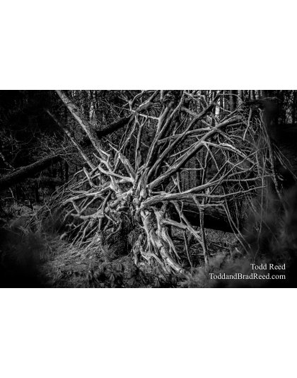 Workshop at Ludington State Park (8093)