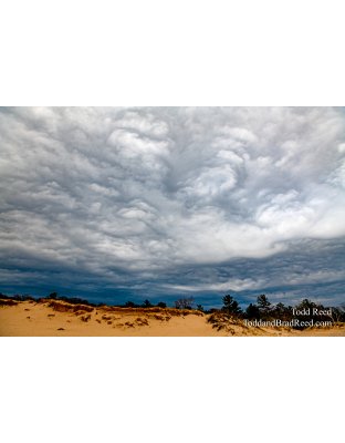 Workshop At Ludington State Park (8169) 
